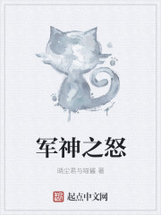 军神之怒章节列表