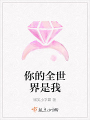 你的全世界是我章节列表