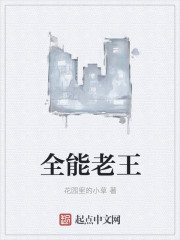 全能老王章节列表