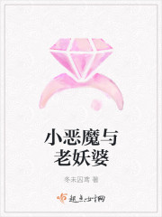 小恶魔与老妖婆章节列表