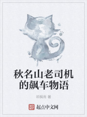 秋名山老司机的飙车物语章节列表
