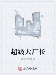 超级大厂长章节列表