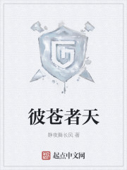 彼苍者天章节列表