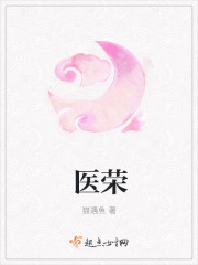 医荣章节列表