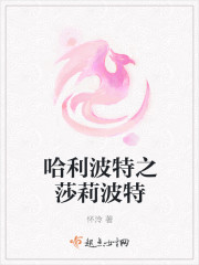 哈利波特之莎莉波特章节列表