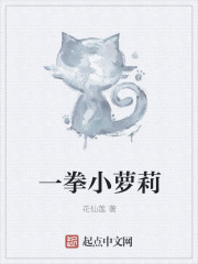 一拳小萝莉章节列表