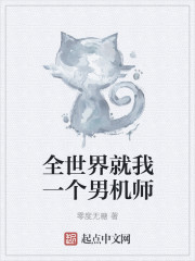 全世界就我一个男机师章节列表