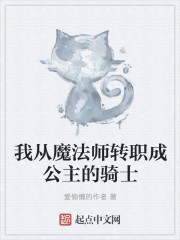 我从魔法师转职成公主的骑士章节列表