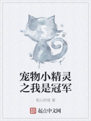 宠物小精灵之我是冠军章节列表
