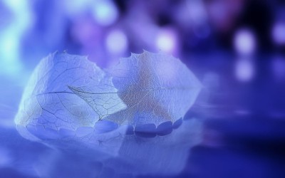 夜息章节列表