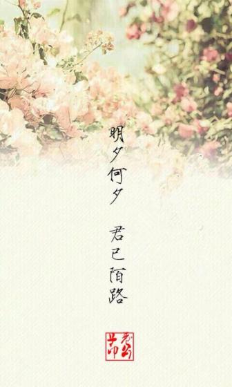 朝夕何夕，君已陌路章节列表