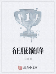 征服巅峰章节列表