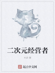 二次元经营者章节列表