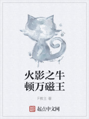 火影之牛顿万磁王章节列表