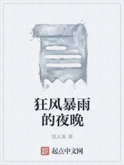 狂风暴雨的夜晚章节列表