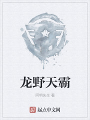 龙野天霸章节列表