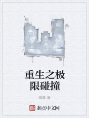 重生之极限碰撞章节列表
