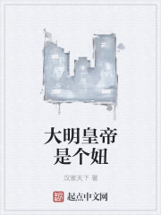 大明皇帝是个妞章节列表