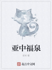 亚中福泉章节列表