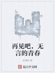再见吧，无言的青春章节列表