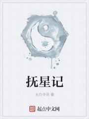 抚星记章节列表