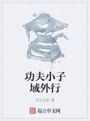 功夫小子域外行章节列表