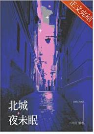 北城夜未眠章节列表