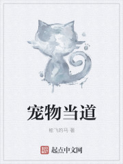 宠物当道章节列表
