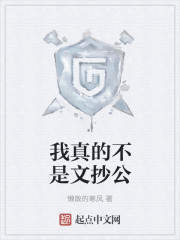 我真的不是文抄公章节列表