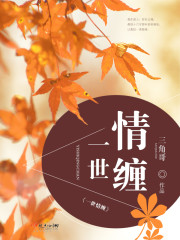 一世情缠章节列表