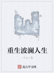 重生波澜人生章节列表
