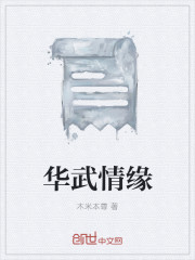 华武情缘章节列表