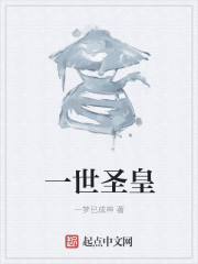 一世圣皇章节列表