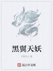 黑翼天妖章节列表