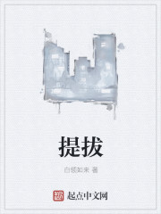 提拔章节列表