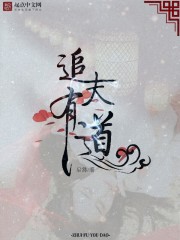 追夫有道章节列表