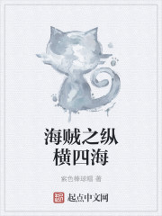 海贼之纵横四海章节列表
