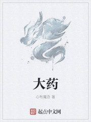 大药章节列表