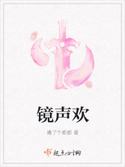 镜声欢章节列表