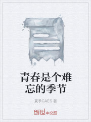 青春是个难忘的季节章节列表