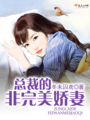 总裁的非完美娇妻章节列表