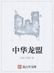 中华龙盟章节列表