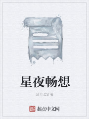 星夜畅想章节列表