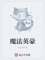 魔法英豪章节列表