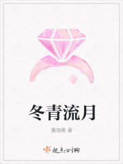 冬青流月章节列表