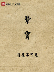 紫霄章节列表