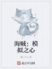 海贼：模拟之心章节列表