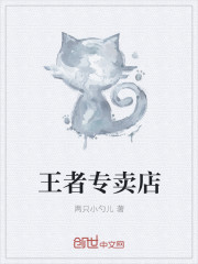 王者专卖店章节列表