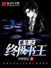 终极书王章节列表