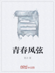 青春风弦章节列表